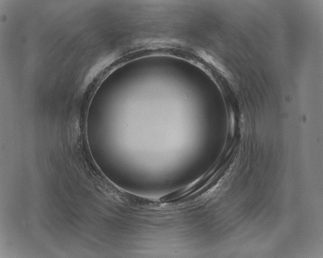 X0000073741261200608031355