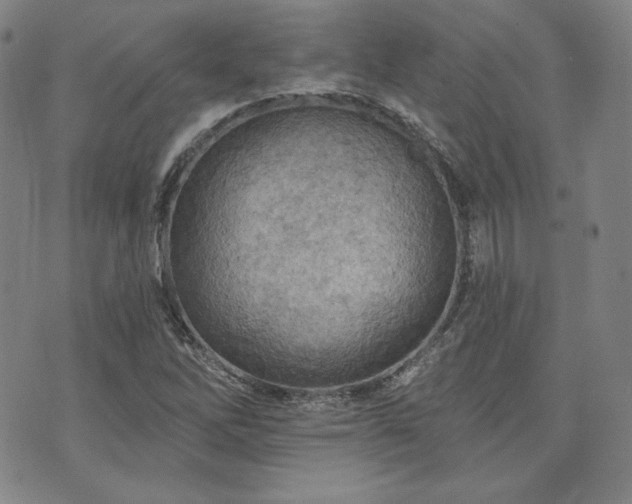X0000073741262200608031355