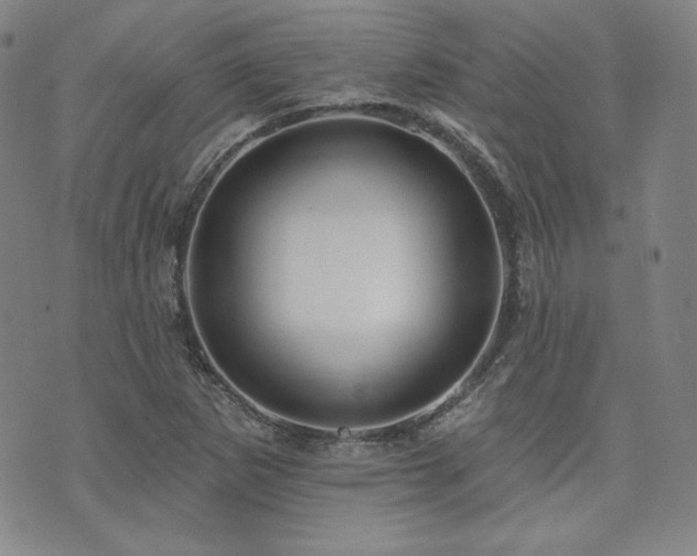 X0000073741265200608031355