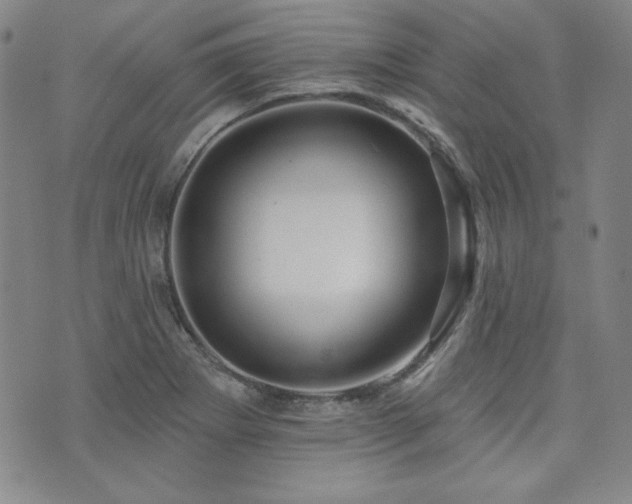 X0000073741273200608031355