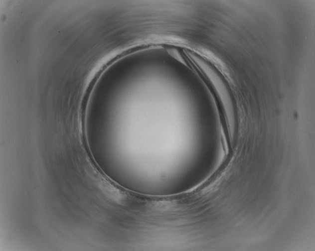 X0000073741280200608031355