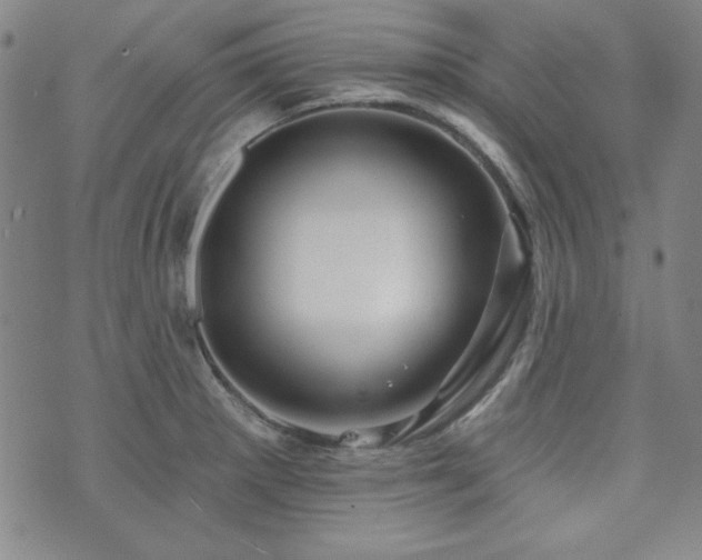 X0000073741281200608031355