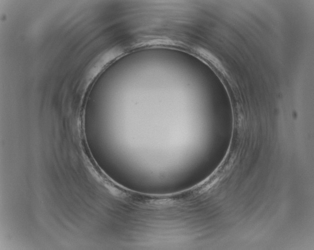X0000073741282200608031355