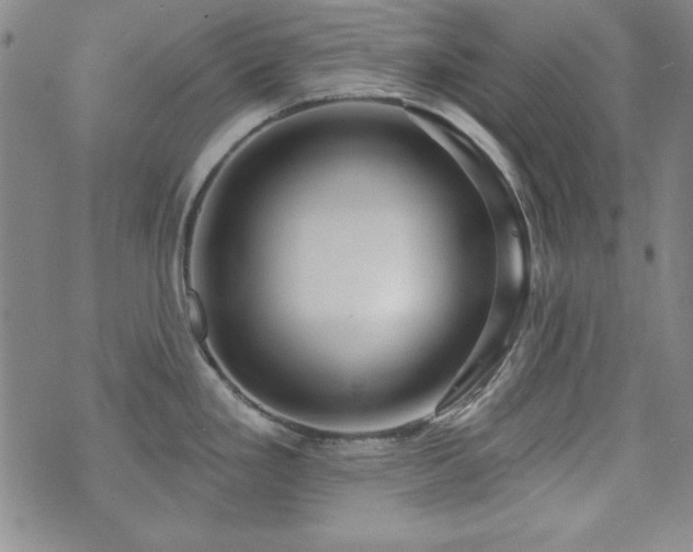 X0000073741293200608031355