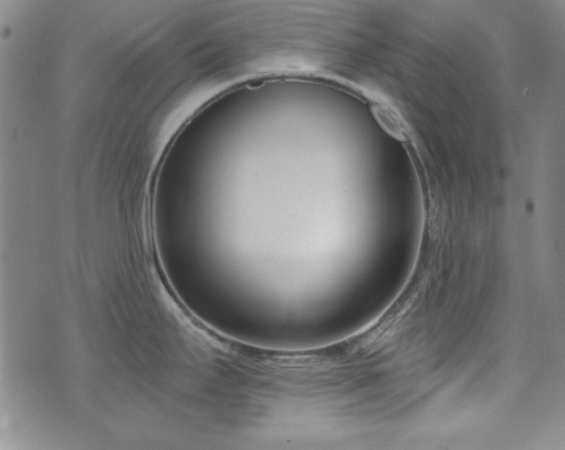 X0000073741295200608031355