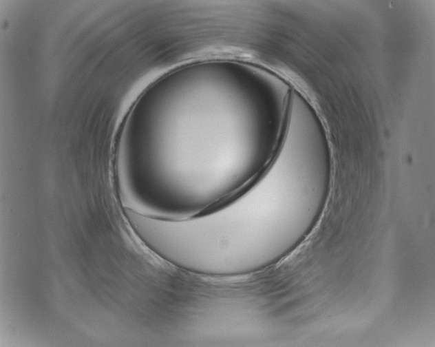 X0000073741296200608031355