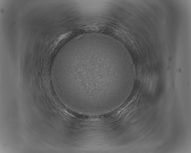 X0000073741297200608031354