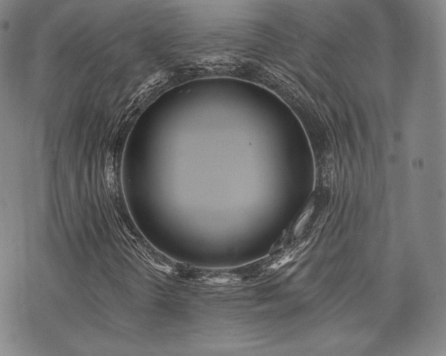 X0000073741298200608031354
