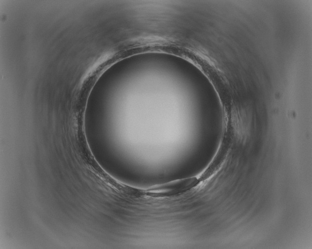 X0000073741309200608031354