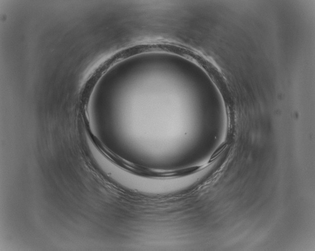 X0000073741311200608031354