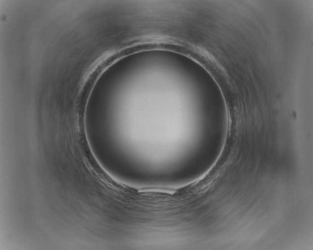 X0000073741318200608031354