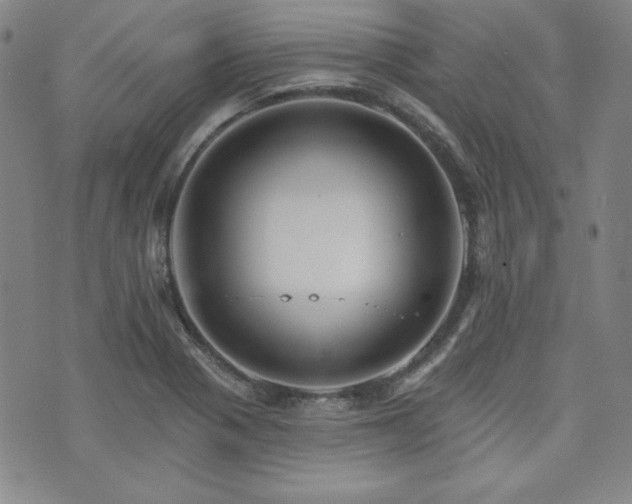 X0000073741321200608031354