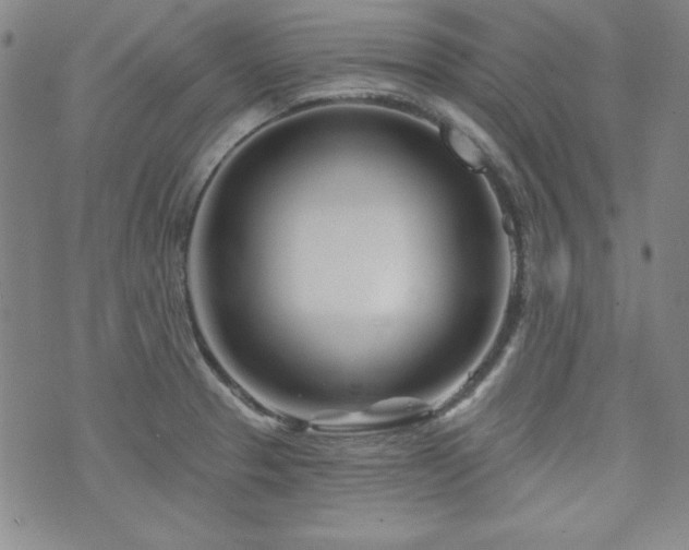 X0000073741329200608031354