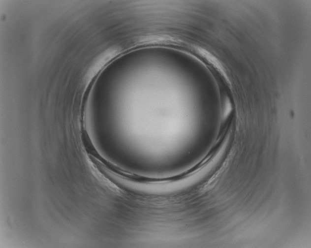 X0000073741330200608031354