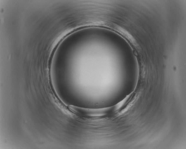 X0000073741332200608031354