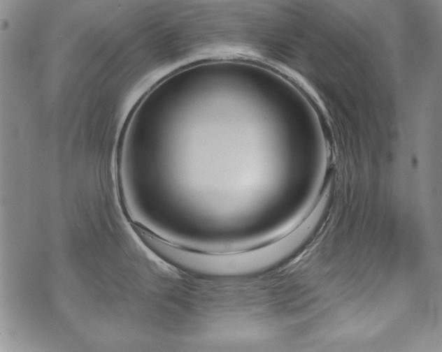 X0000073741343200608031355
