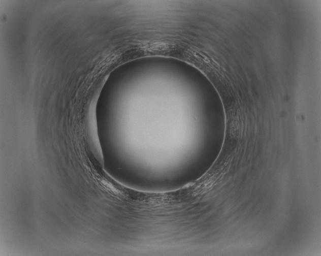 X0000073741345200608031354