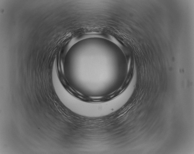 X0000073741346200608031354