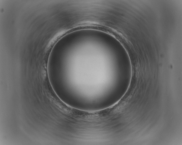 X0000073741363200608031353