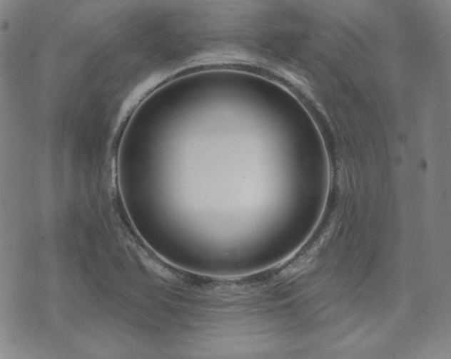 X0000073741366200608031353