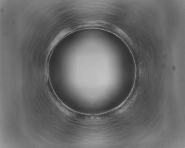 X0000073741370200608031353