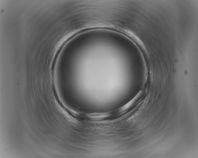 X0000073741380200608031353