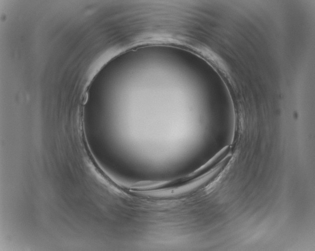X0000073741382200608031353