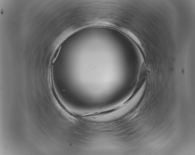 X0000073741391200608031353
