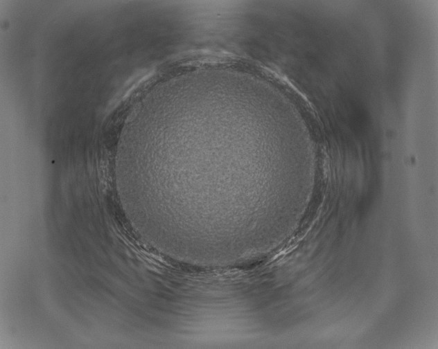 X0000073741399200608031352