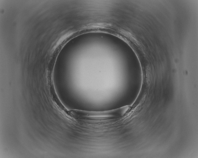 X0000073741404200608031352