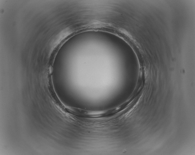 X0000073741410200608031352