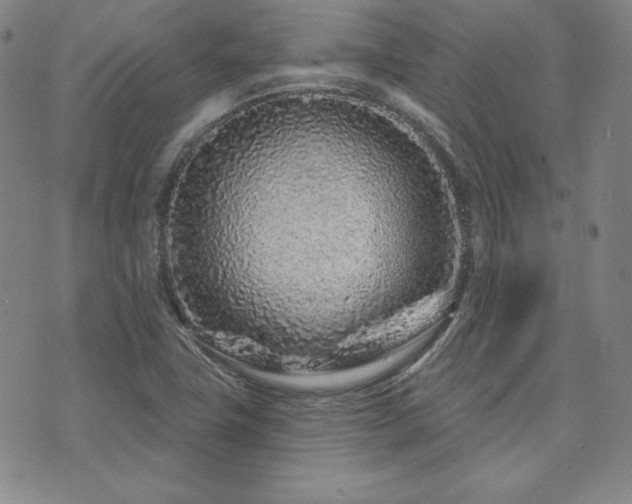 X0000073741411200608031353