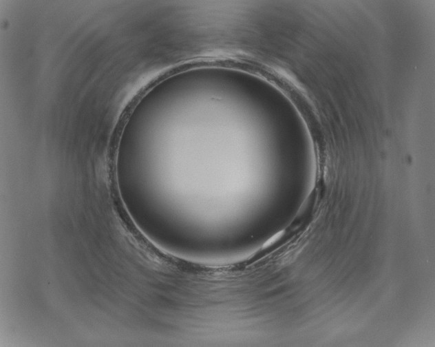X0000073741412200608031353