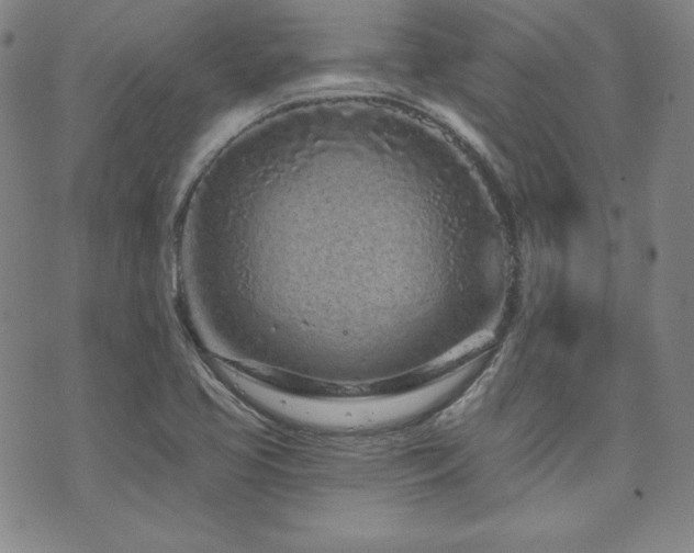 X0000073741413200608031353