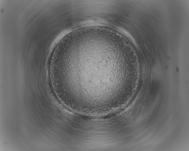 X0000073741419200608031353