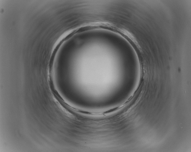 X0000073741420200608031353