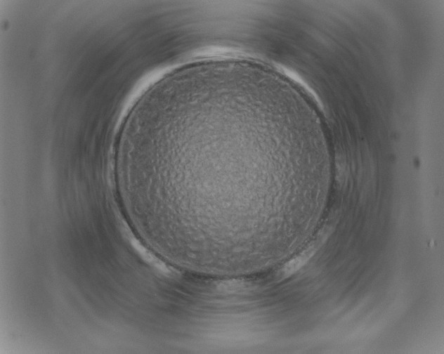 X0000073741421200608031353