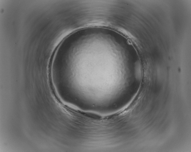 X0000073741423200608031353