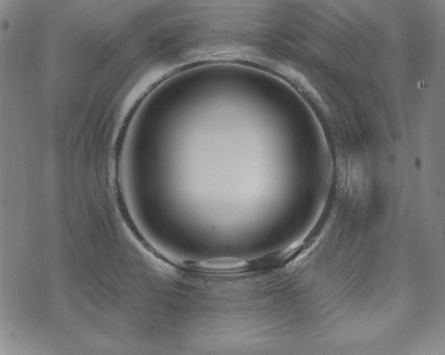 X0000073741424200608031353