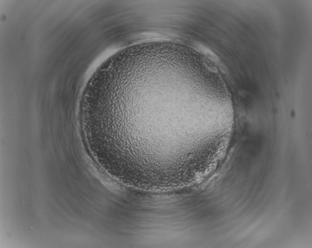 X0000073741427200608031353