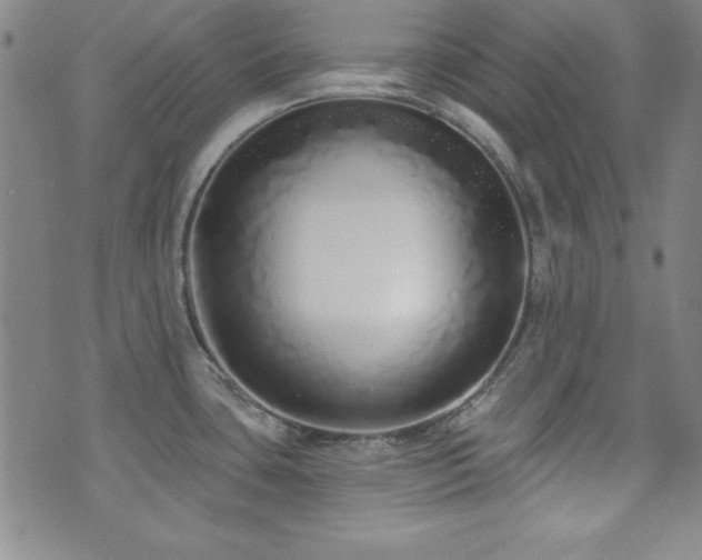 X0000073741435200608031353