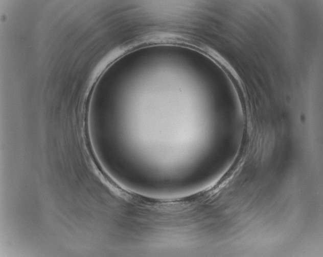 X0000073741437200608031353