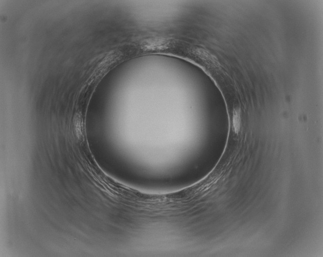 X0000073741444200608031352