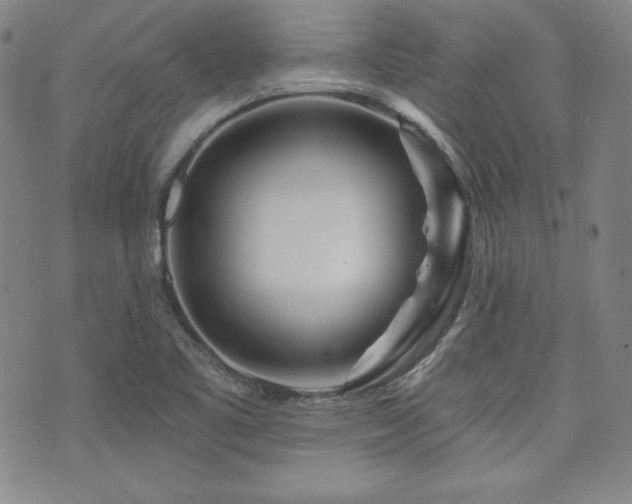 X0000073741461200608031352