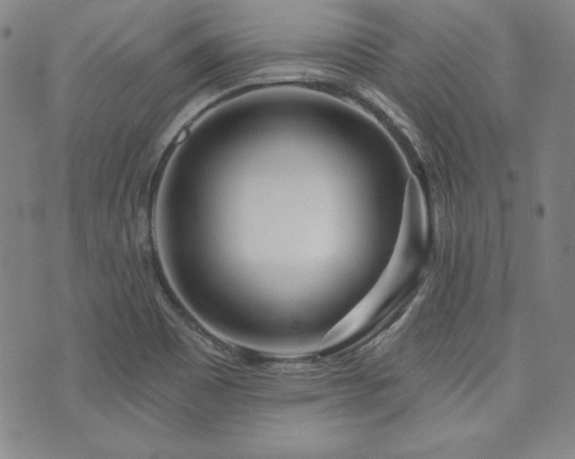 X0000073741465200608031352
