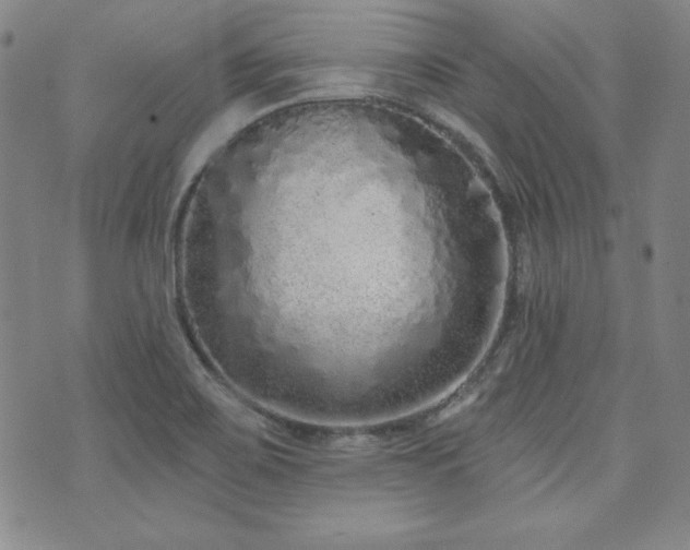 X0000073741467200608031352