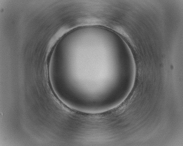 X0000073741472200608031352