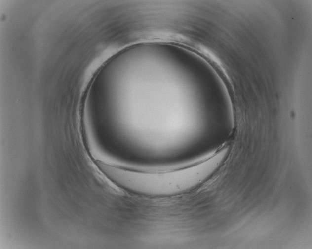 X0000073741480200608031352