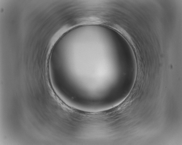 X0000073741488200608031351