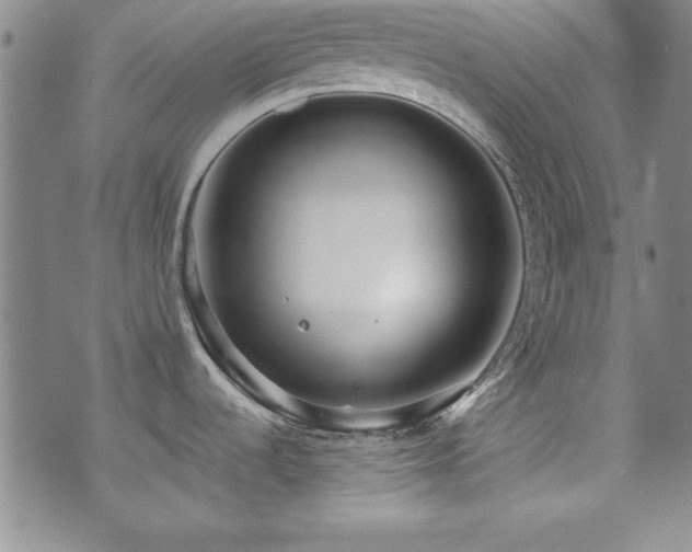 X0000073741536200608031351